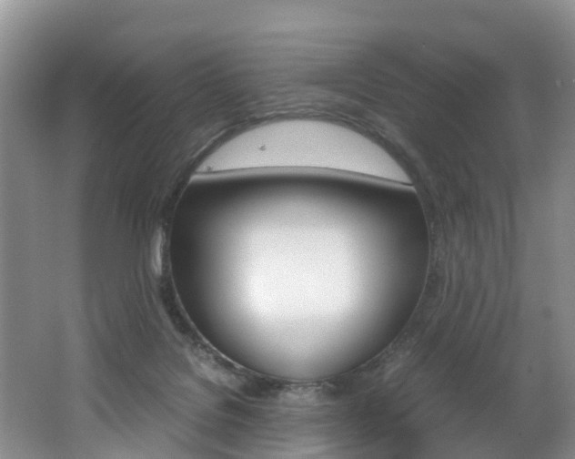 X0000062650076200512211045