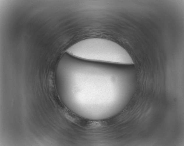 X0000062650083200512211045