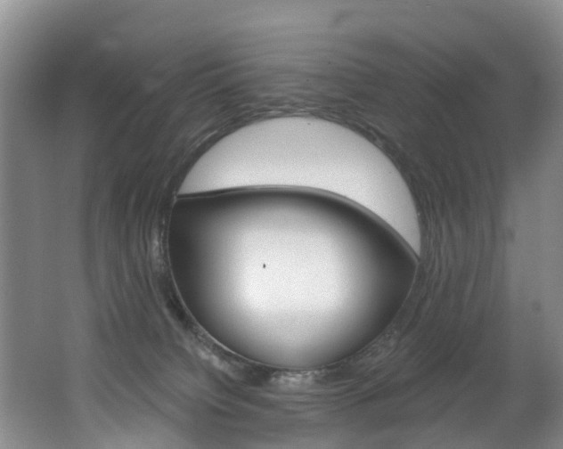 X0000062650084200512211045