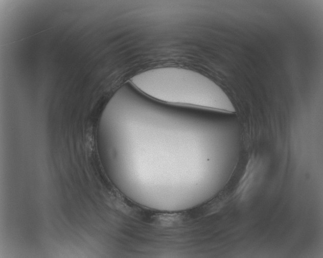 X0000062650085200512211045