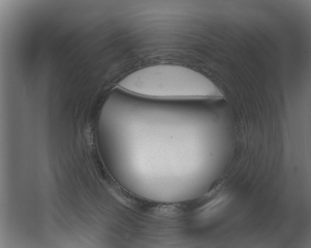 X0000062650086200512211045