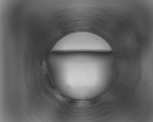 X0000062650087200512211045