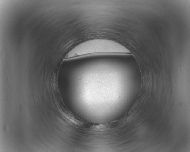 X0000062650092200512211045