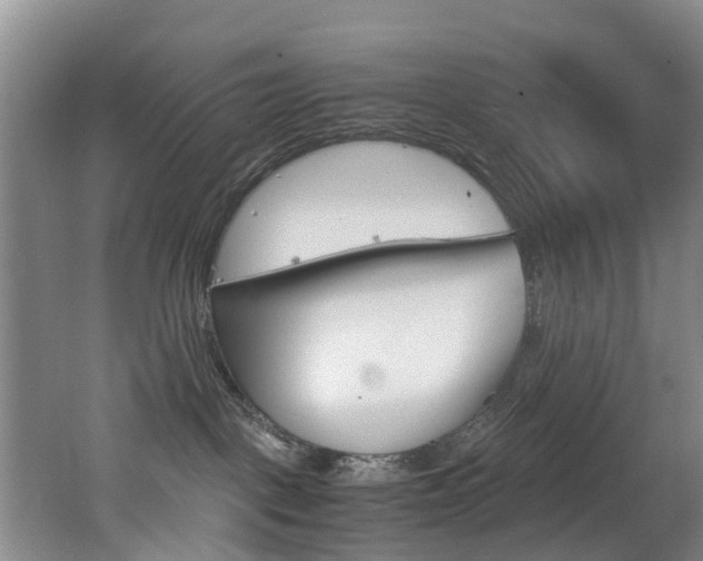 X0000062650093200512211045