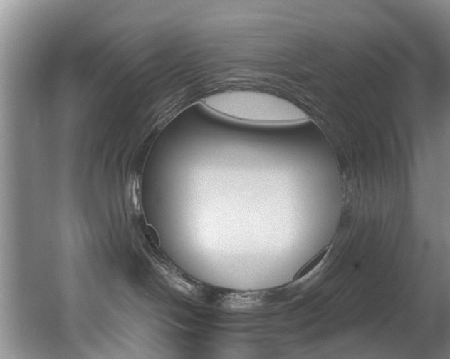 X0000062650094200512211045