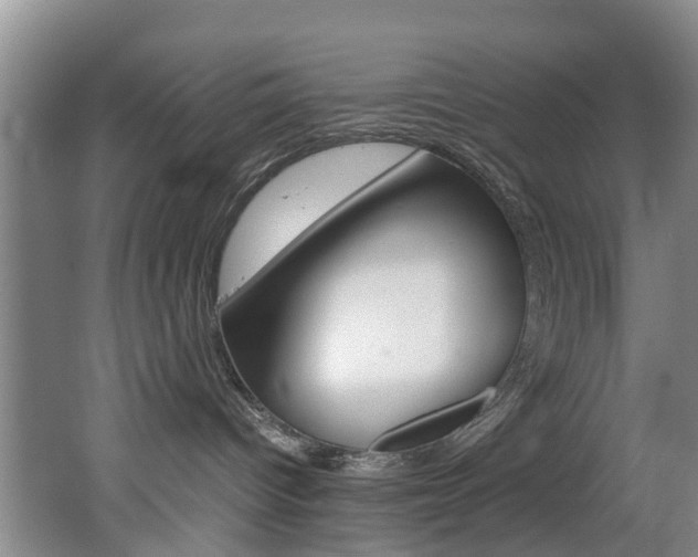 X0000062650096200512211045