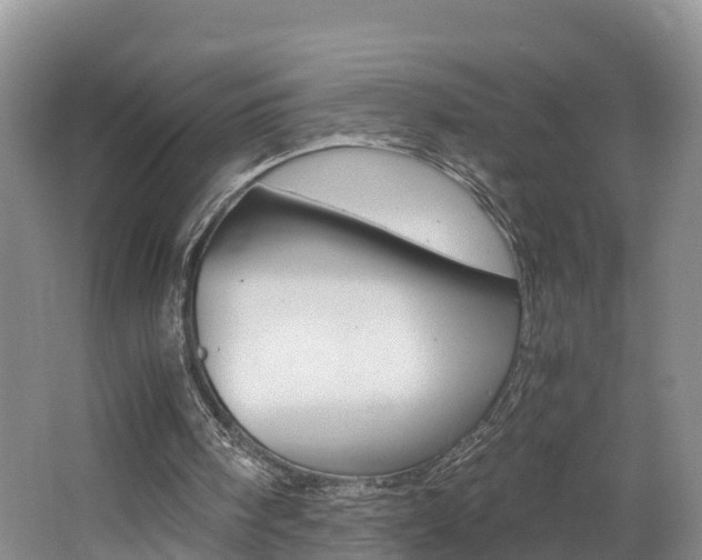 X0000062650098200512211045