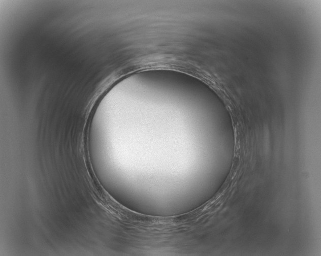 X0000062650099200512211045