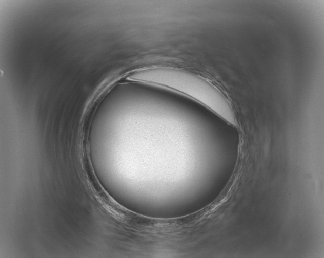 X0000062650101200512211045