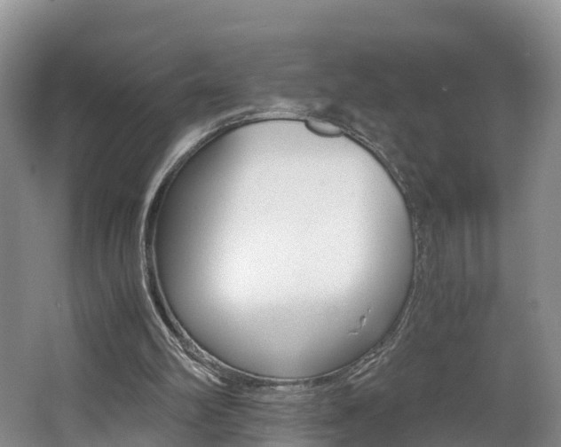 X0000062650102200512211045