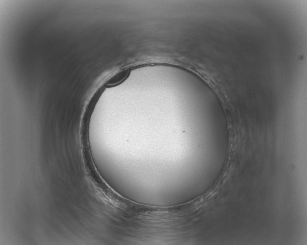 X0000062650104200512211044