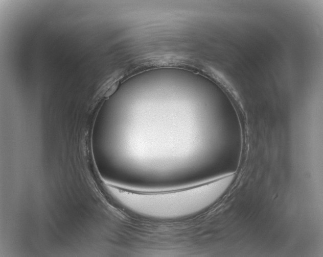 X0000062650105200512211044