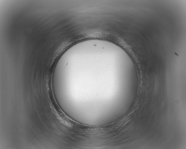 X0000062650106200512211044