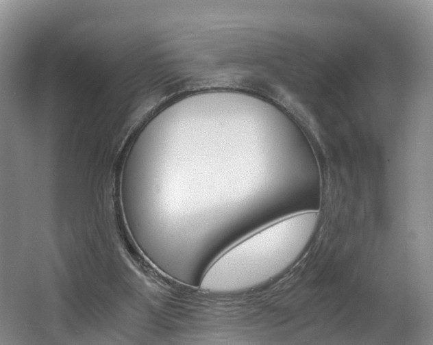 X0000062650107200512211044