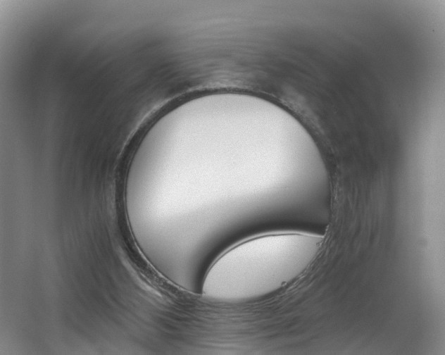 X0000062650108200512211044
