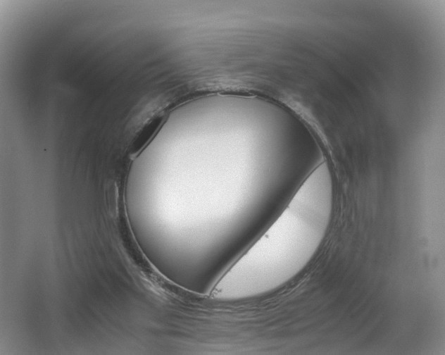 X0000062650109200512211044