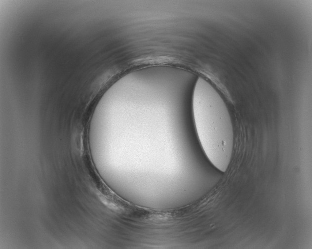 X0000062650110200512211044