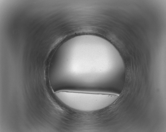 X0000062650112200512211044