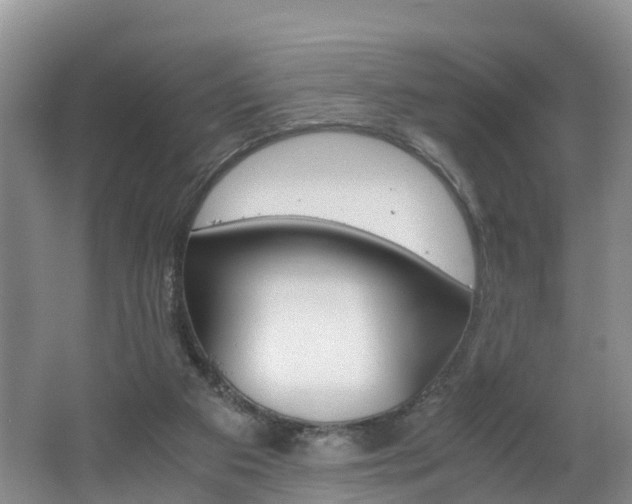 X0000062650113200512211044