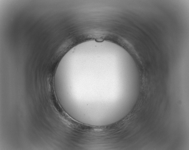 X0000062650114200512211044