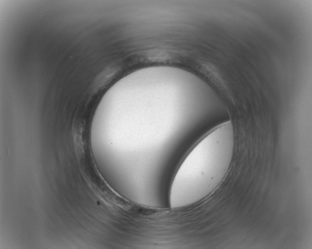 X0000062650116200512211044