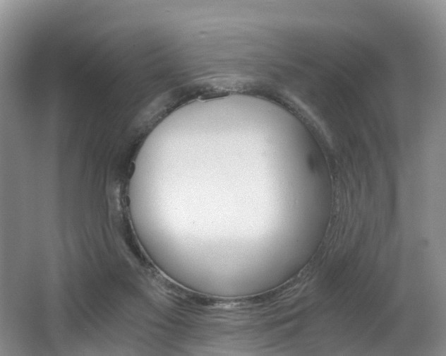 X0000062650117200512211044