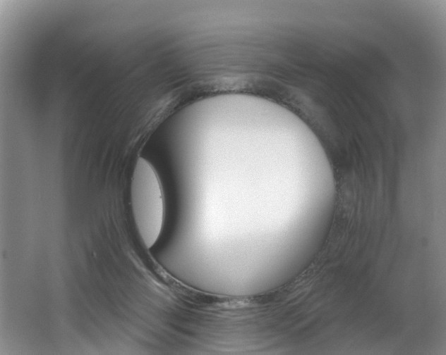 X0000062650118200512211044
