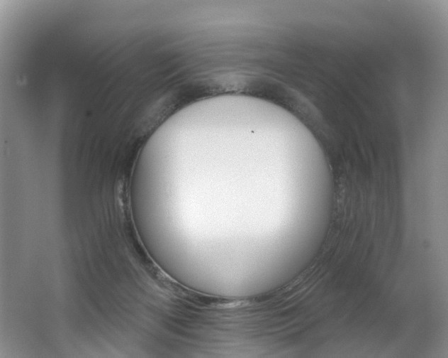 X0000062650122200512211044
