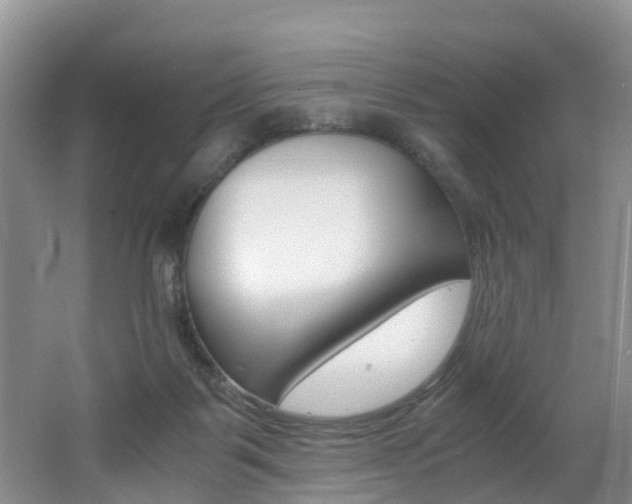 X0000062650123200512211044