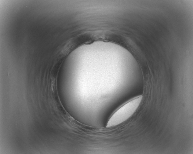 X0000062650125200512211044