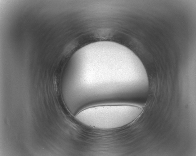 X0000062650128200512211044