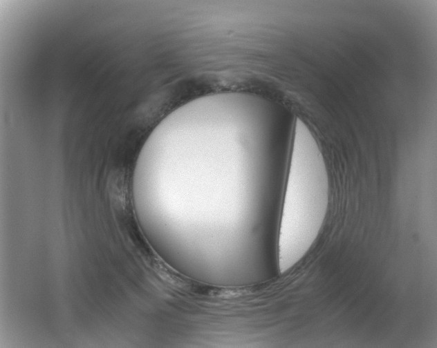 X0000062650129200512211044