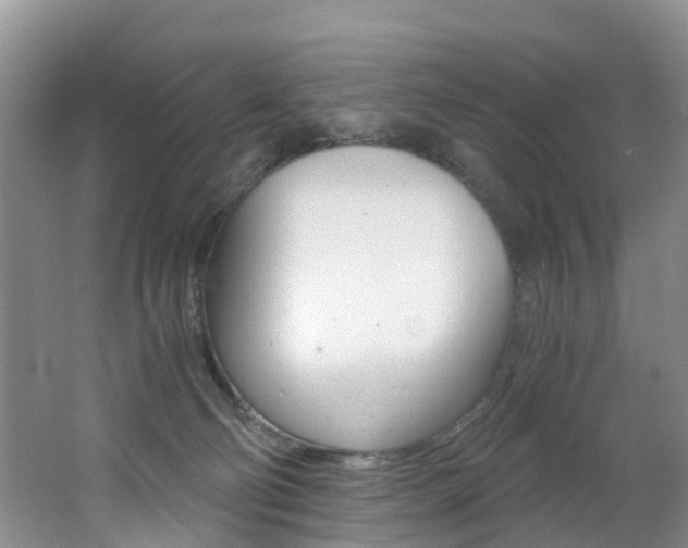 X0000062650130200512211044