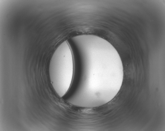 X0000062650132200512211044