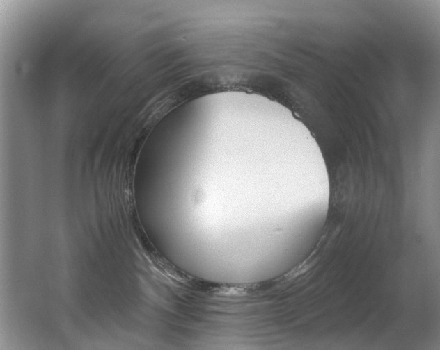 X0000062650140200512211044