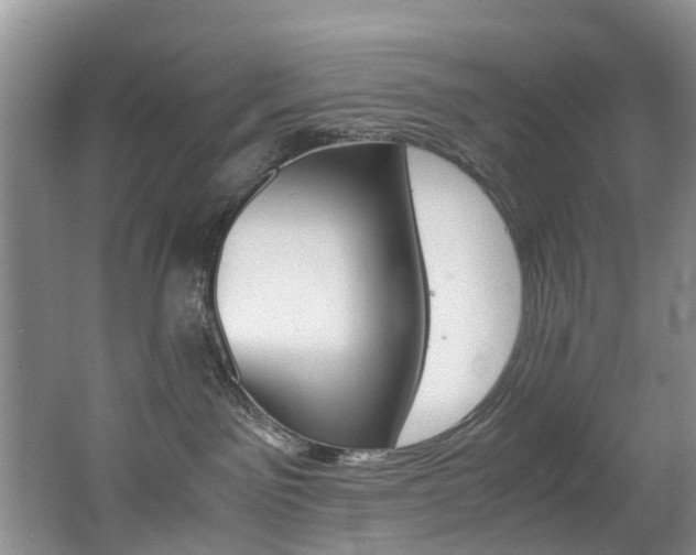 X0000062650141200512211044