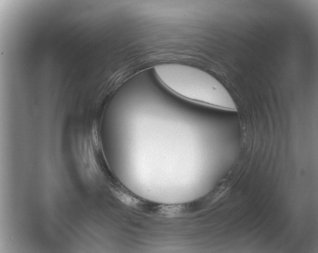 X0000062650143200512211044