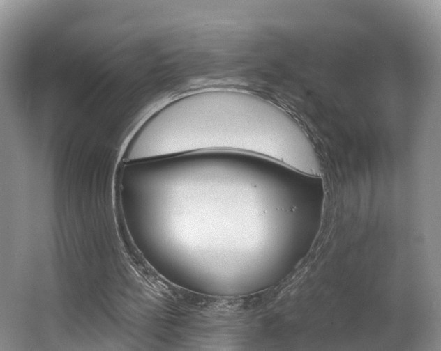 X0000062650148200512211043