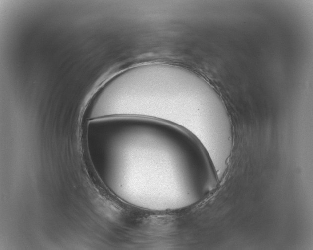 X0000062650150200512211043