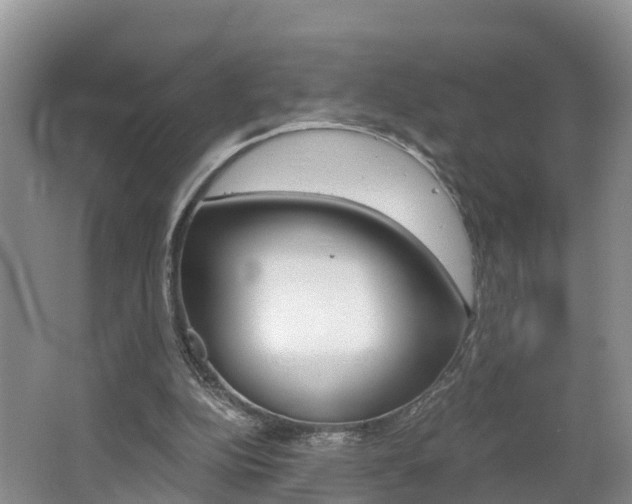 X0000062650152200512211043