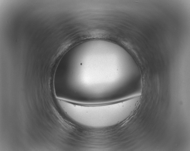X0000062650154200512211043