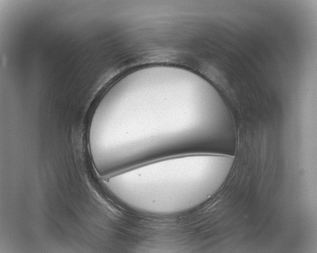 X0000062650156200512211043