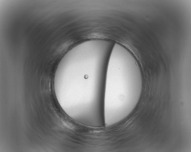 X0000062650157200512211043