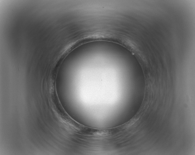 X0000062650164200512211043