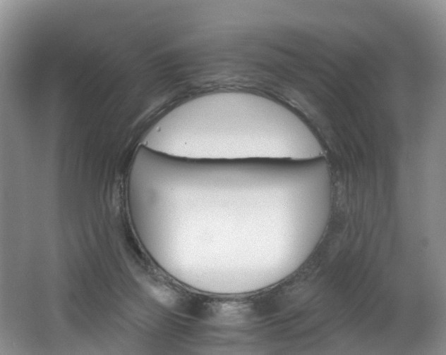 X0000062650165200512211043