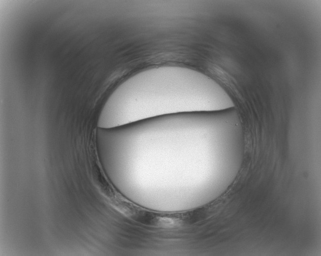 X0000062650167200512211043