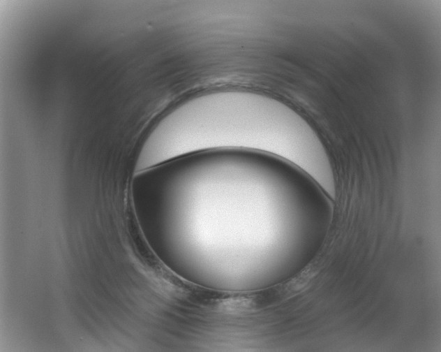 X0000062650168200512211043