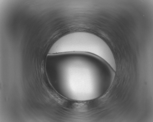 X0000062650170200512211043
