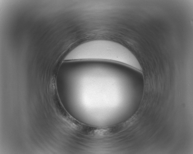 X0000062650172200512211043