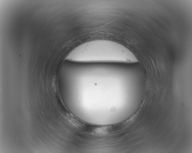 X0000062650178200512211044